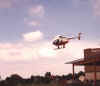 nfheli.jpg (247472 bytes)