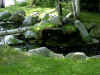 pond.jpg (77811 bytes)
