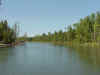 river.jpg (51931 bytes)